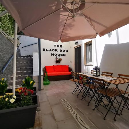 The Black Dog House Валенцано Экстерьер фото