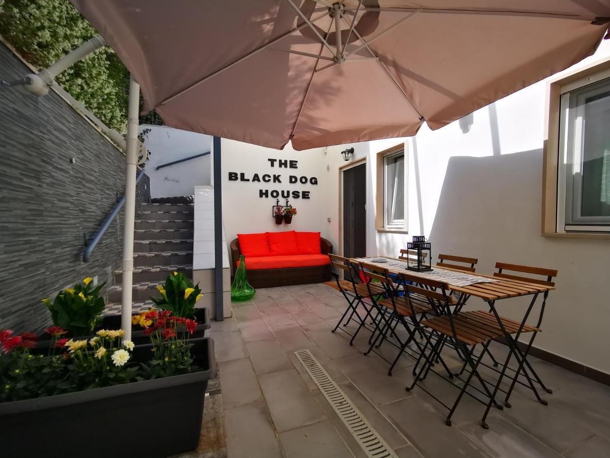 The Black Dog House Валенцано Экстерьер фото