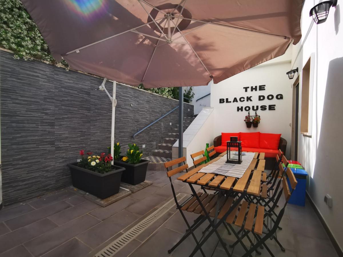The Black Dog House Валенцано Экстерьер фото