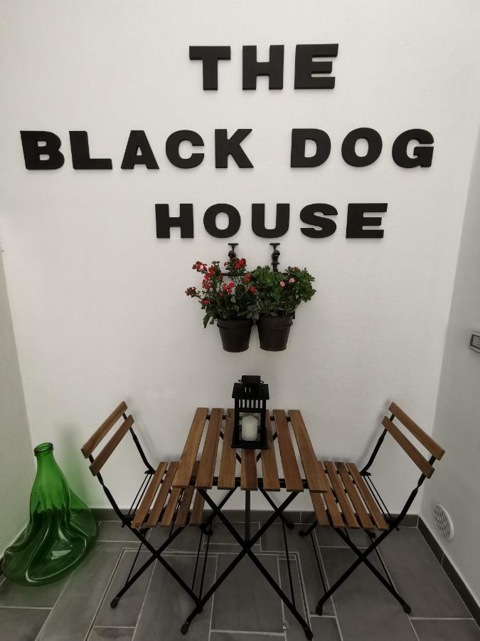 The Black Dog House Валенцано Экстерьер фото